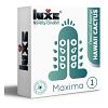 Презервативы Luxe Maxima White Гавайский Кактус цена 178 руб