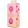 Шарики вагинальные Vibrating Bell Balls
