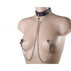 Ошейник с зажимами