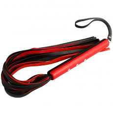 Плеть Домино